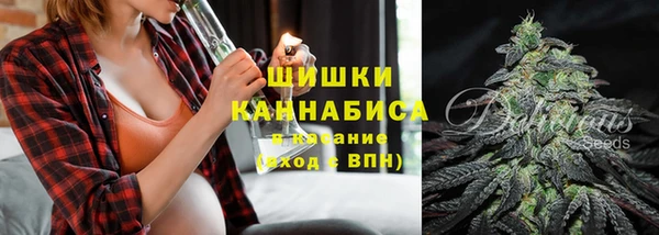 крисы Тавда