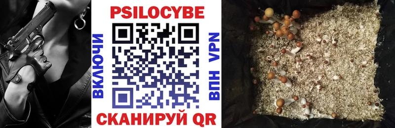 Галлюциногенные грибы прущие грибы дарнет шоп блэк спрут ТОР площадка состав Волчанск